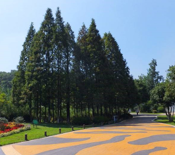 紅山森林動物園環境綜合整治一期工程